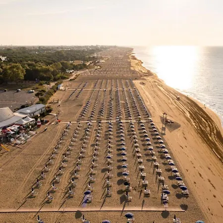 Bright Flat With Shared Garden *