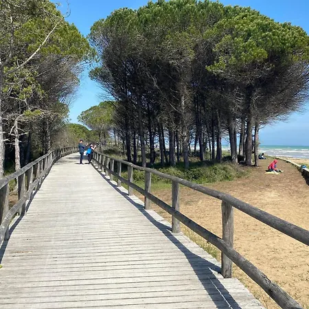 Bright Flat With Shared Garden Bibione